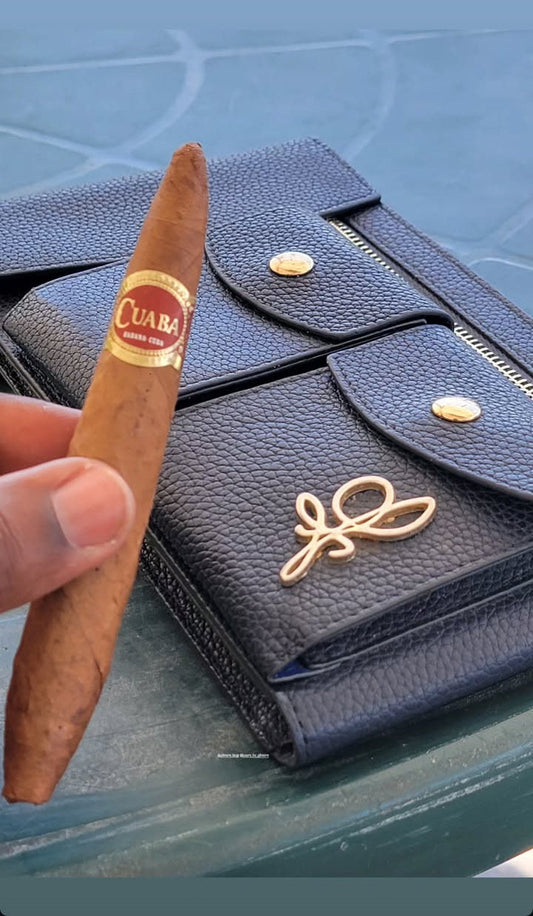 Blue Italian Leather Pooch, cigar case