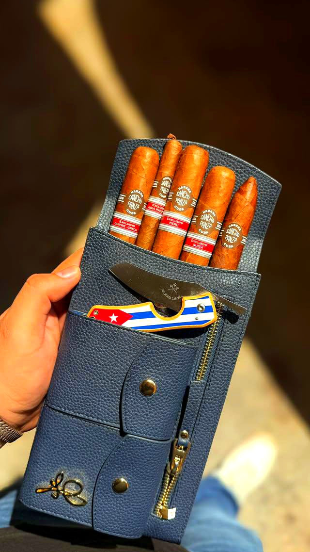 Blue Italian Leather Pooch, cigar case
